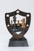 NT3341 szachy
