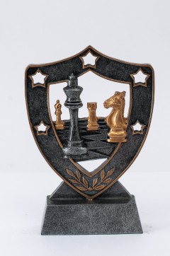 NT3341 szachy