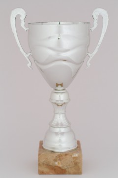 196 srebrny